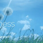 Access Consciousness